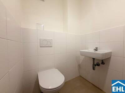 Terrassenwohnung mieten in 1030 Wien (Bild 3)