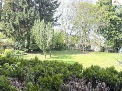 Anlageobjekt kaufen in 2620 Neunkirchen