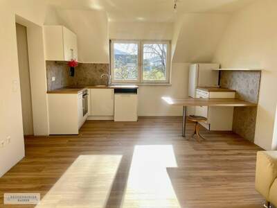Wohnung mieten in 8045 Graz