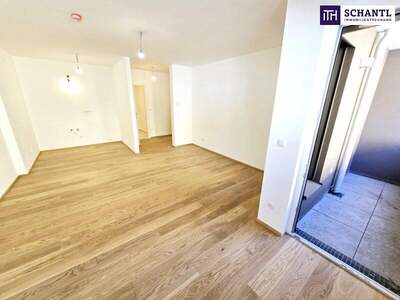 Terrassenwohnung kaufen in 1230 Wien (Bild 2)