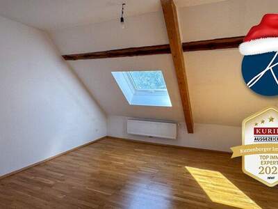 Terrassenwohnung mieten in 3150 Wilhelmsburg (Bild 5)