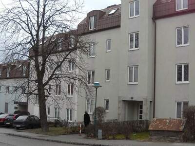 Wohnung mieten in 3500 Krems (Bild 5)