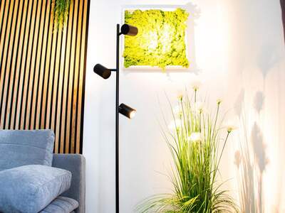 Mietwohnung in 4040 Linz (Bild 1)