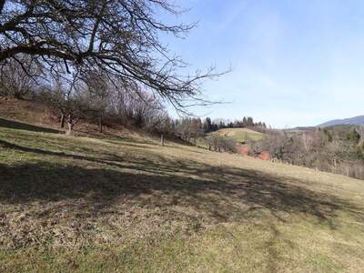 Grundstück kaufen in 8591 Maria Lankowitz (Bild 2)