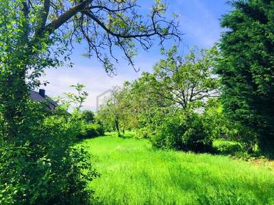 Grundstück kaufen in 7091 Breitenbrunn