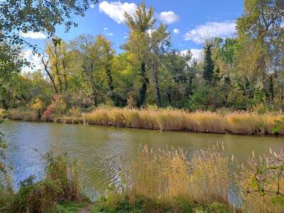 Terrassenwohnung mieten in 1220 Wien (Bild 4)