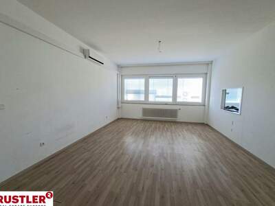 Gewerbeobjekt mieten in 2340 Mödling (Bild 4)