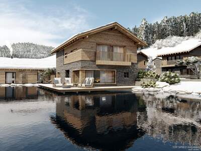Chalet kaufen in 8973 Pichl (Bild 2)