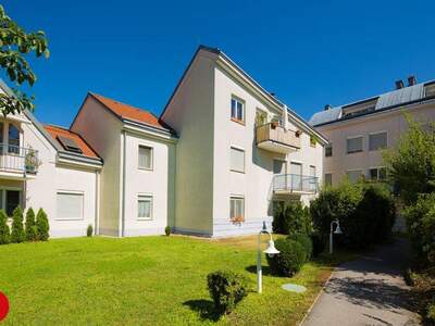 Terrassenwohnung mieten in 2320 Schwechat (Bild 2)