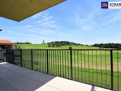 Terrassenwohnung kaufen in 8411 Hengsberg (Bild 4)