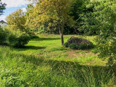 Gewerbeobjekt kaufen in 8046 Graz (Bild 1)