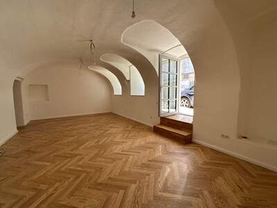 Gewerbeobjekt kaufen in 1090 Wien (Bild 3)