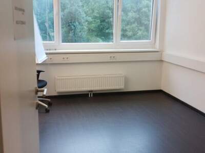 Gewerbeobjekt mieten in 2372 Gießhübl (Bild 3)