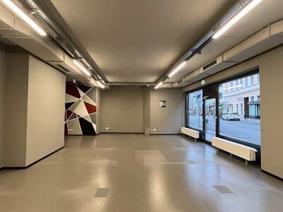 Gewerbeobjekt kaufen in 1170 Wien (Bild 5)