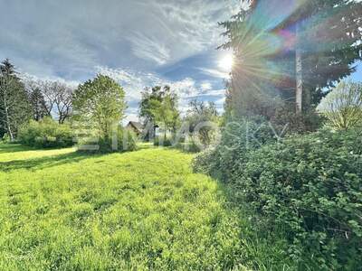 Grundstück kaufen in 6972 Fußach (Bild 4)