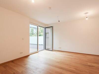 Terrassenwohnung mieten in 1180 Wien (Bild 1)