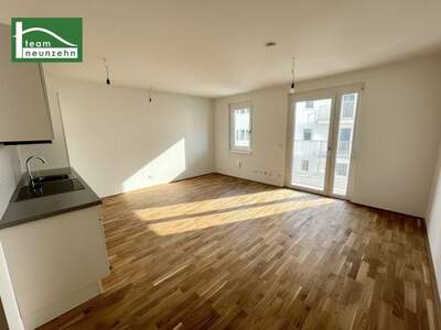 Terrassenwohnung mieten in 1160 Wien (Bild 1)