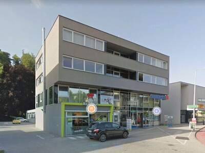 Gewerbeobjekt mieten in 4600 Thalheim (Bild 2)