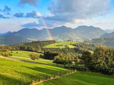 Grundstück kaufen in 4554 Oberschlierbach
