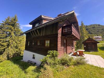 Anlageobjekt kaufen in 8953 Planneralm (Bild 5)