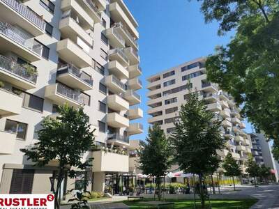 Wohnung mit Balkon mieten in 8020 Graz Eggenberg