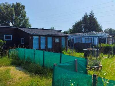 Immobilie kaufen in 7083 Purbach (Bild 4)