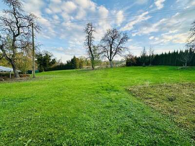 Grundstück kaufen in 4612 Scharten