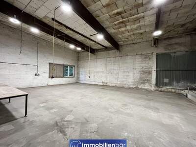 Gewerbeobjekt mieten in 4600 Thalheim (Bild 5)