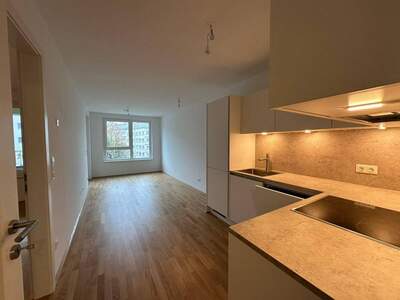 Mietwohnung provisionsfrei in 1140 Wien