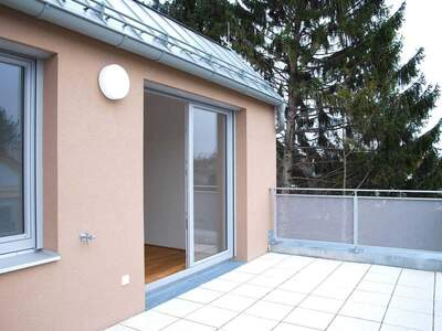 Wohnung mieten in 1220 Wien (Bild 4)