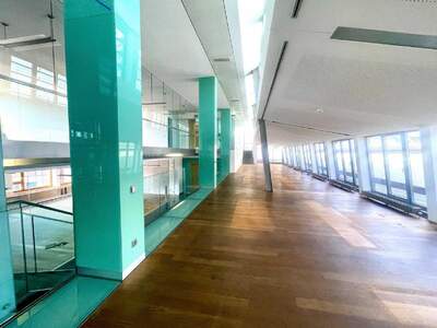 Gewerbeobjekt mieten in 1010 Wien (Bild 3)