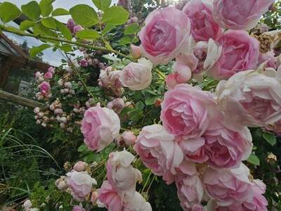 Haus kaufen in 8323 Sankt Marein