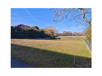 Grundstück provisionsfrei kaufen in 3950 Gmünd