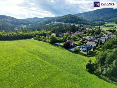 Grundstück kaufen in 8045 Weinitzen (Bild 4)