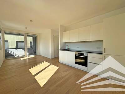 Etagenwohnung mieten in 4020 Linz