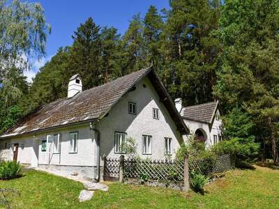 Haus kaufen in 3920 Groß Gerungs