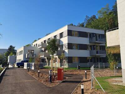 Wohnung mieten in 3040 Neulengbach (Bild 3)