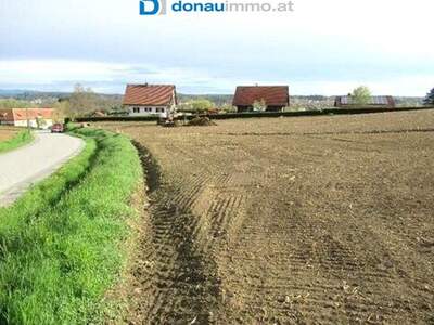 Grundstück kaufen in 8522 Groß Sankt Florian (Bild 3)