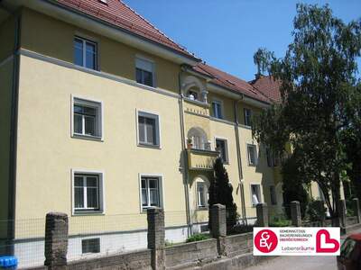 Wohnung mieten in 5280 Braunau