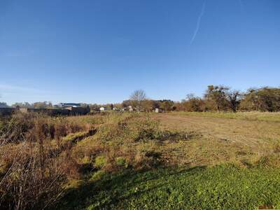 Grundstück kaufen in 8141 Premstätten (Bild 4)