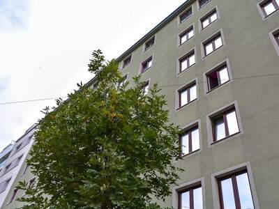 Anlageobjekt kaufen in 1200 Wien (Bild 1)