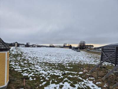 Gewerbegrundstück kaufen in 5163 Mundenham