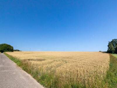 Land- und Forstwirtschaft kaufen in 4880 Walsberg