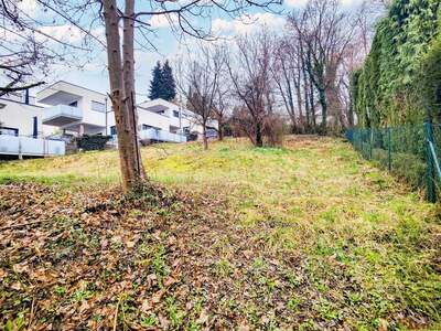 Grundstück kaufen in 8044 Graz (Bild 2)