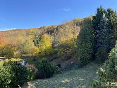 Grundstück kaufen in 2384 Breitenfurt