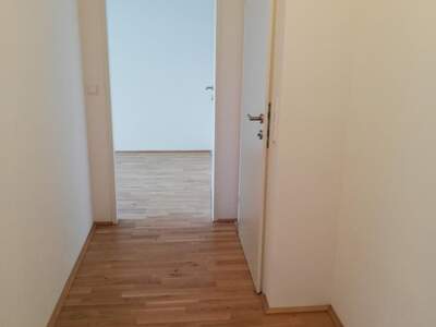 Terrassenwohnung kaufen in 1220 Wien (Bild 4)