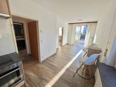 Wohnung mieten in 2512 Tribuswinkel