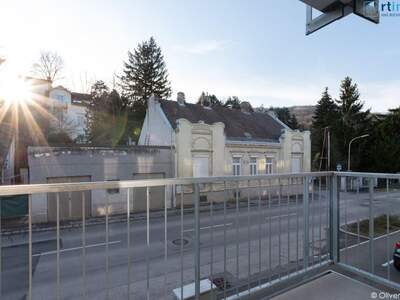 Wohnung mit Balkon kaufen in 3420 Kritzendorf (Bild 4)