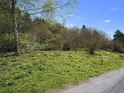 Grundstück kaufen in 2860 Kirchschlag