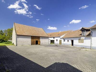 Gewerbeobjekt kaufen in 2431 Enzersdorf (Bild 3)